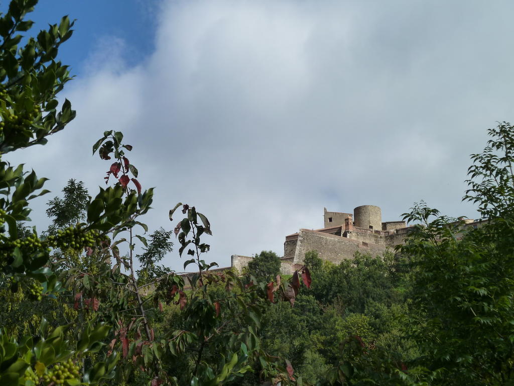Maison Baxter Prats-de-Mollo-la-Preste